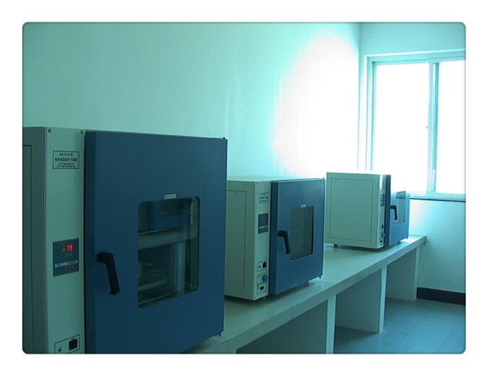 Laboratory hot air circulation oven